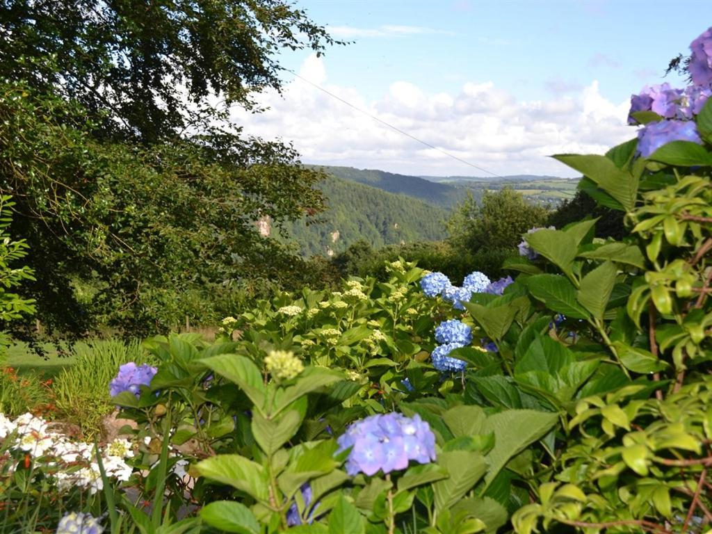 Sandhill House Country House Retreat Gunnislake Esterno foto